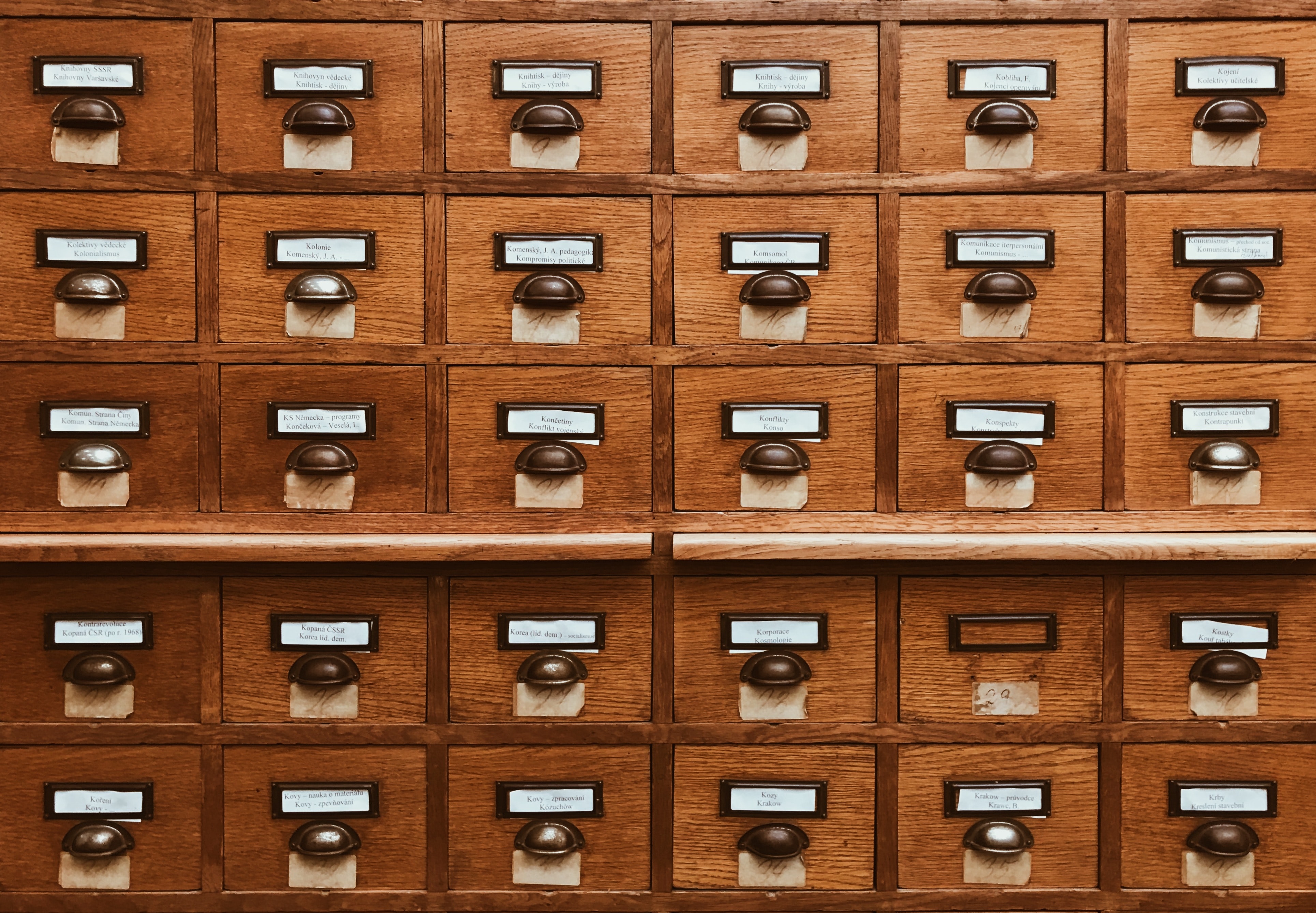 Database Management & IT Services